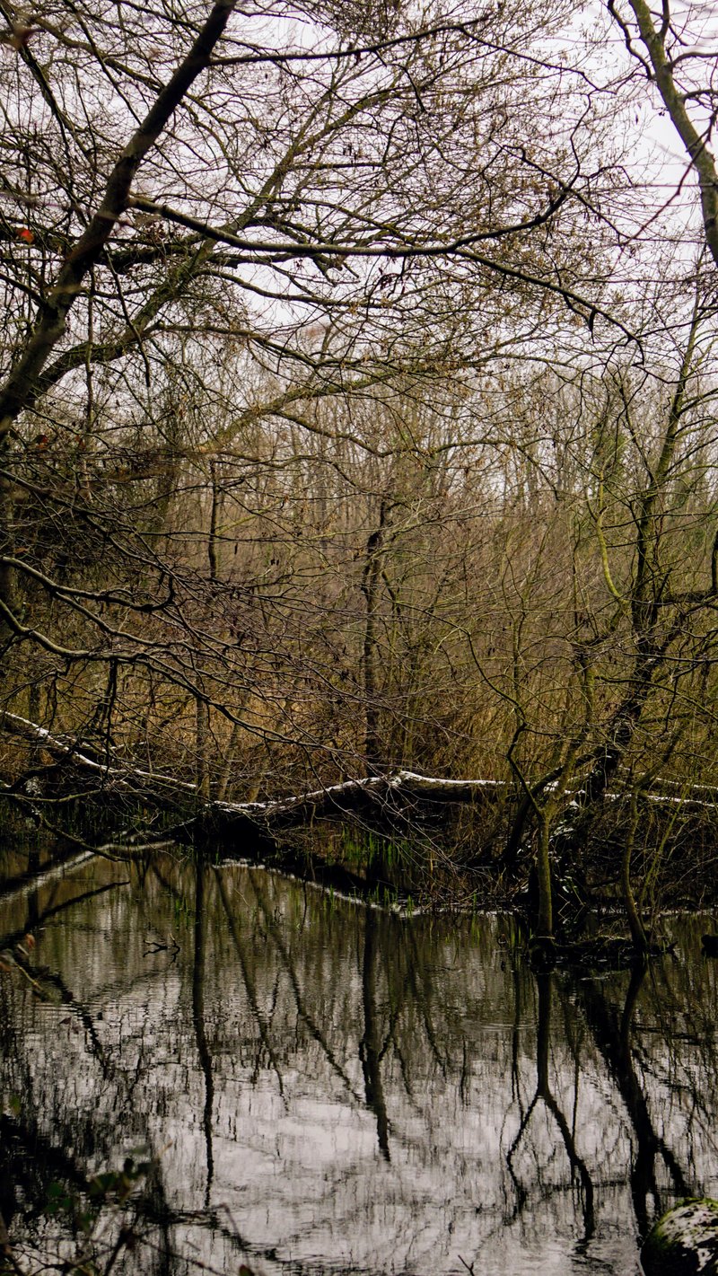 Un week‑end à la campagne : le plan qui fait la différence - aperçu Un week‑end à la campagne : le plan qui fait la différence - aperçu